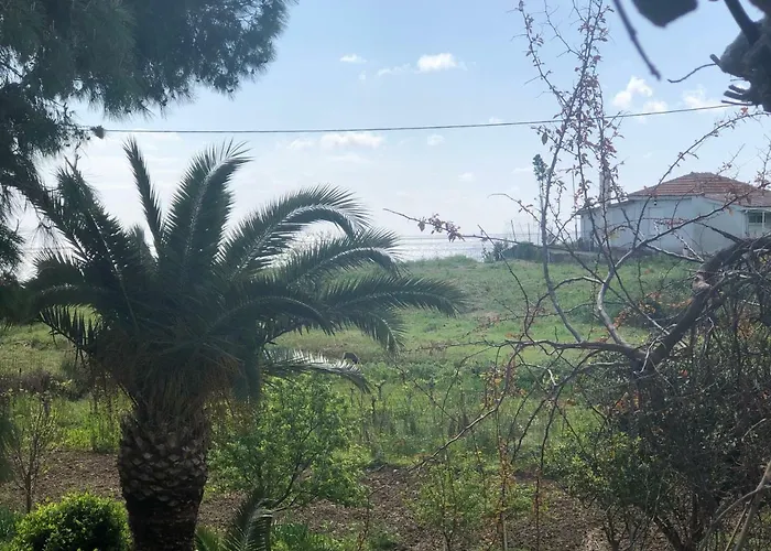 Pavlos فندق لاغاناس