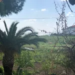Pavlos Hotel Laganas