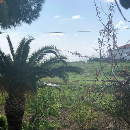 Pavlos Hotel Laganas